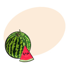 Whole striped watermelon with curled up tail and triangular piece with seeds, sketch style vector illustration with place for text. Realistic hand drawing of whole ripe watermelon and slice