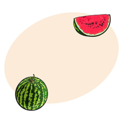 Whole striped watermelon with curled up tail and red slice with black seeds, sketch style vector illustration isolated with place for text. Realistic hand drawing of whole and cut ripe watermelon