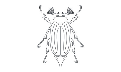 Pictogram - Chafer, Cockchafer, Maybug, May beetle, Bug, Insect - Object, Icon, Symbol