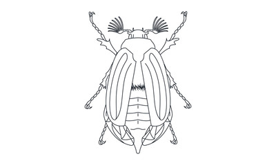 Pictogram - Chafer, Cockchafer, Maybug, May beetle, Bug, Insect - Object, Icon, Symbol