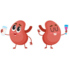 Pair of cute and funny healthy human kidney characters drinking milk and wine, cartoon vector illustration isolated on white background. Couple of healthy human kidney characters with drinks
