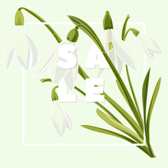 Floral snowdrops hand drawn colored card. Modern typography with text Sale