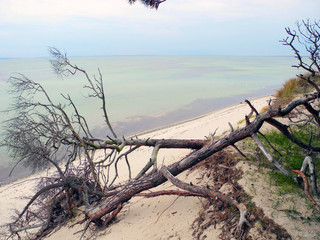 Beach Hel Spit. © jana_janina