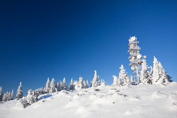Wintertraum