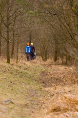 Characters walk in nature.