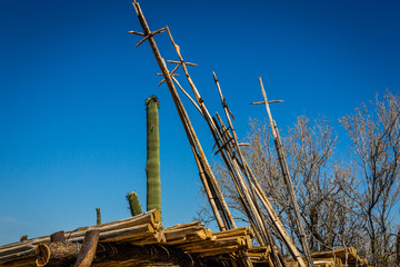 Fototapeta na wymiar Saguaro cactus ribs used by native americans to harvest saguaro fruit