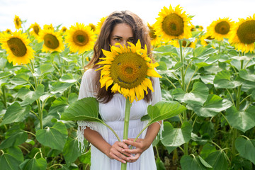 cheerful girl looks out from sunflower in a field