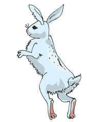 jumping hare 