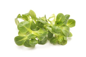 Fototapeta na wymiar valerian leaf salad