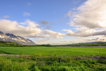Norwegian Countryside