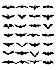 Fototapeta premium Big set of black silhouettes of bats on a white background