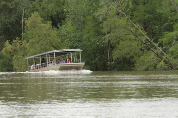 Swamp boat tour