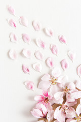 close up top view of light and soft petals of sakura on white background. Concept of love. feeling of spring. Flat lay.