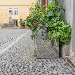 flowerpot /  / flowerpot / planter
Plants, Flowers, Planter, Flowers, Reflection, Street, Pedestrian