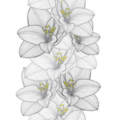 Seamless hand-drawing floral background with flower amaryllis. Vector illustration.