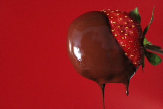 Strawberry In Melted Chocolate On A Red Background. Valentines Day Concept. Women's Day
