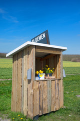 Dutch flowers for sale