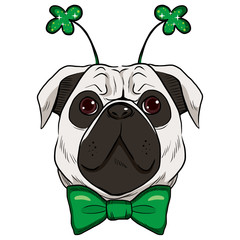Cute St. Patrick pug dog with green bow tie and fashionable green sparkling clover accessory