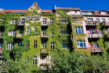 Hausbegrünung