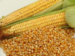 corn