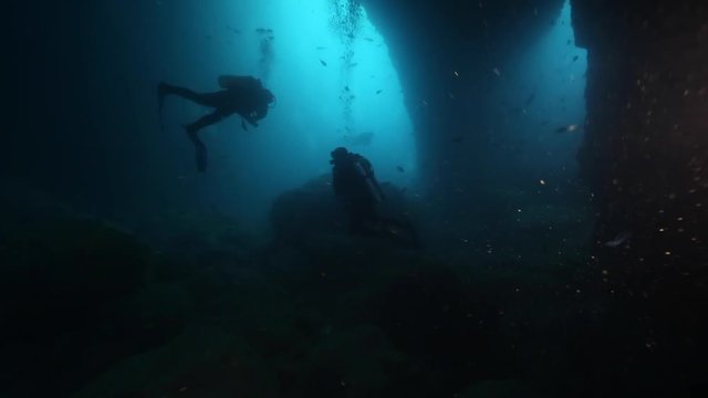 Scuba divers in underwater archway at Poor Knights Islands
