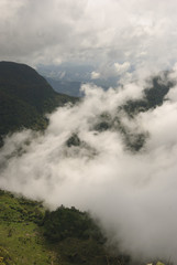 View from World's End in Horton plains national park