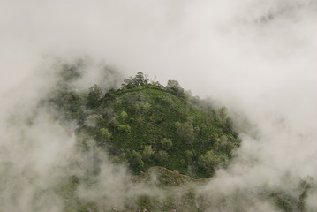 View from World's End in Horton plains national park