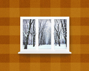 window overlooking the winter park