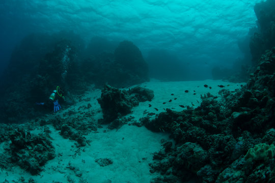 Fototapeta Reefscape with a diver