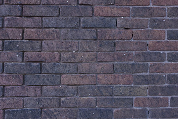 Fototapeta premium Natural Brick Pattern