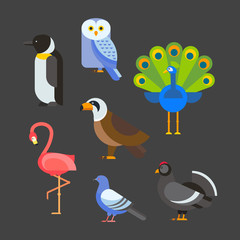 Birds vector set illustration isolated