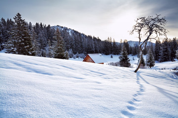 snowy hills in Allaguer Alps