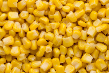 Bulk of yellow corn grains texture.