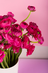 Beautiful bouquet of ranunculuses in a vase