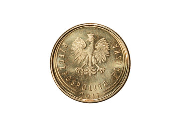 One groszy. Polish zloty. The Currency Of Poland. Macro photo of a coin. Poland depicts a One-Polish groszy coin. Isolated on white background.