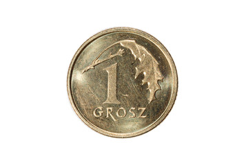 One groszy. Polish zloty. The Currency Of Poland. Macro photo of a coin. Poland depicts a One-Polish groszy coin. Isolated on white background. - obrazy, fototapety, plakaty