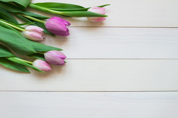 beautiful fresh tulips on the wooden background with copy space