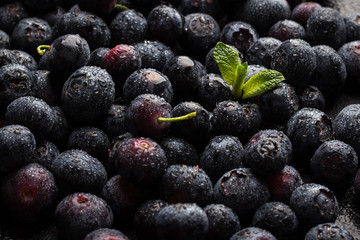 Fresh blueberries close-up