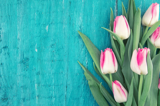 Bouquet of Tulips on turquoise rustic wooden background with copy space for message. Spring flowers. Greeting card for Valentine's Day, Woman's Day and Mother's Day holidays. Top view
