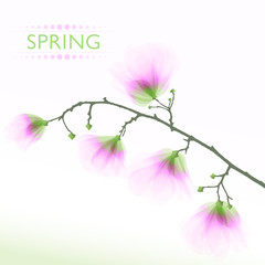vector background with spring flowers