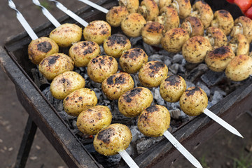 vegetarian skewers on the grill