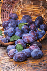 Plums in the basket © alexshyripa