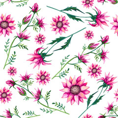 Seamless Pattern of Watercolor Bright Pink Flowers and Leaves
