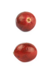 Single ripe cranberry isolated