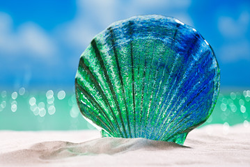 glass tropical sea  shell on white  beach sand under the sun light