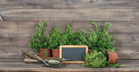 Kitchen herbs chalkboard garden tools Food ingredients