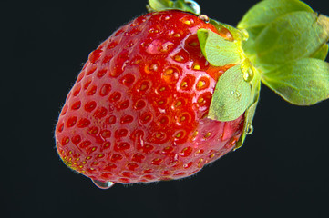 Fragola su sfondo nero