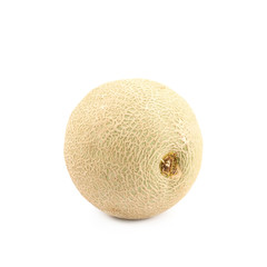 Cantaloupe melon fruit isolated