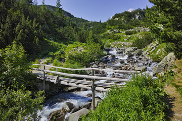 Fototapeta na wymiar Mountain river and wooden bridge, Pirin Mountain, Bulgaria