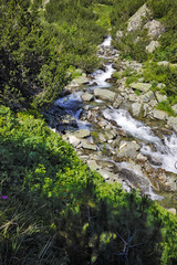 Landscape with River with clean waters,  Pirin Mountain, Bulgaria